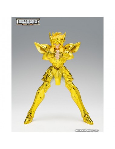 PREPEDIDO AQUARIUS HYOGA INHERITOR OF THE GOLD CLOTH SAINT SEIYA CLOTH MYTH EX